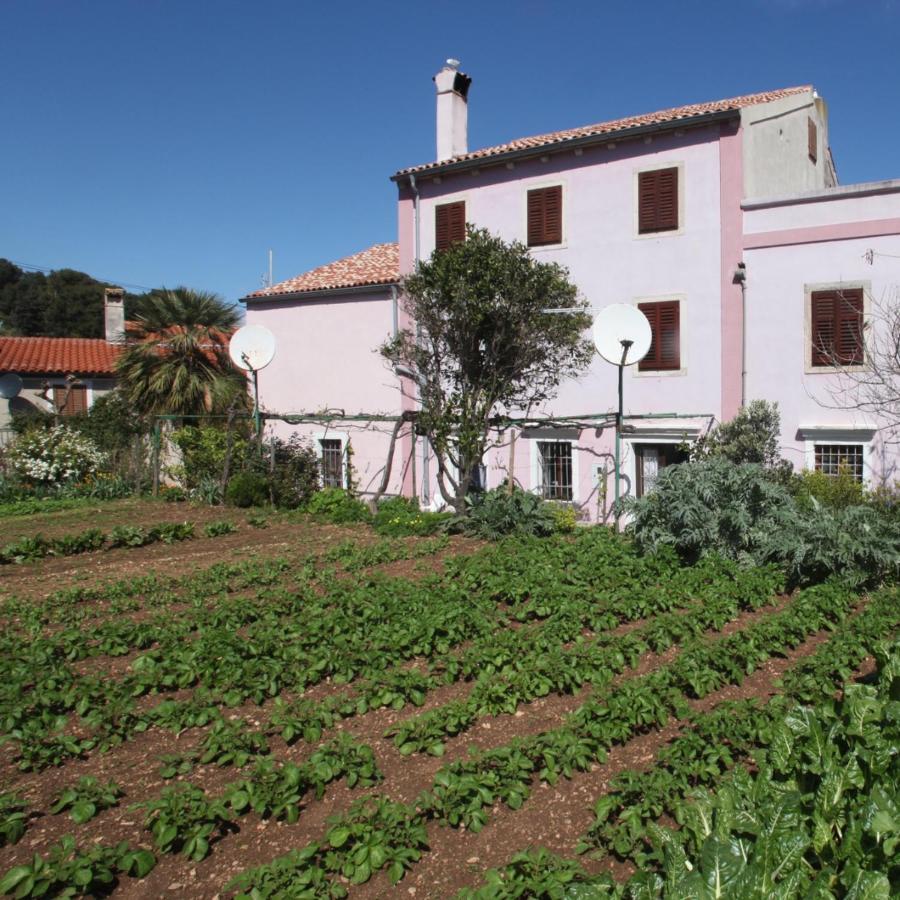 Apartments Anita Veli Lošinj Екстериор снимка